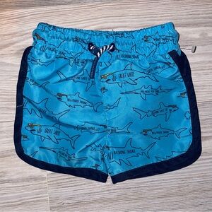 Andy & Evan Baby Boys Swim Trunks 9M